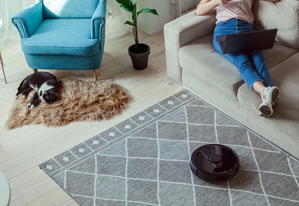 robot vacuum cleaning